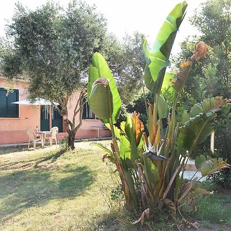 Terracorse Villa Figari  Exterior foto