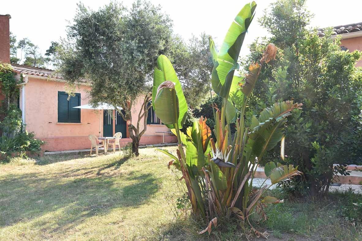 Terracorse Villa Figari  Exterior foto